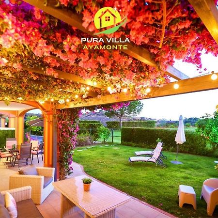 Pura Villa- Buganvillas 阿亚蒙特 外观 照片